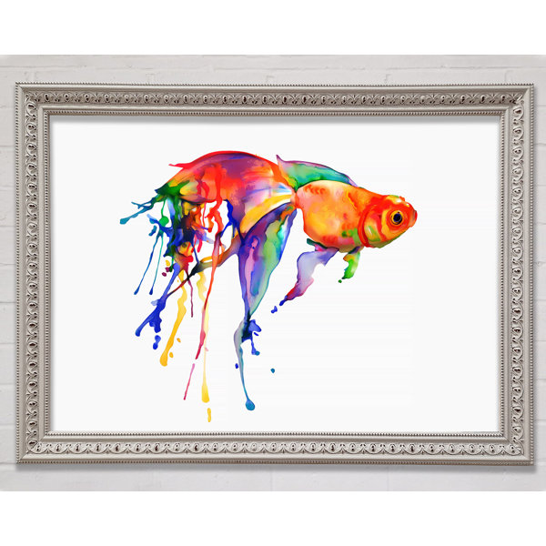 Bright Star Regenbogen Goldfisch Einzelner Bilderrahmen Kunstdrucke